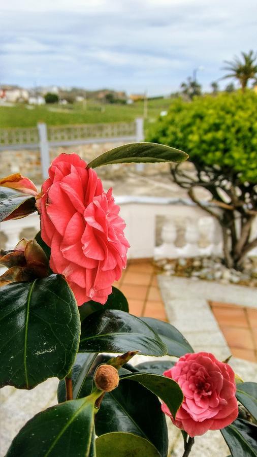 Hotel El Panorama Tapia De Casariego Dış mekan fotoğraf
